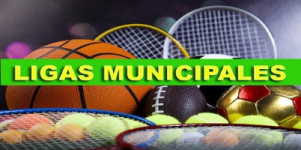 Imagen Ligas Municipales